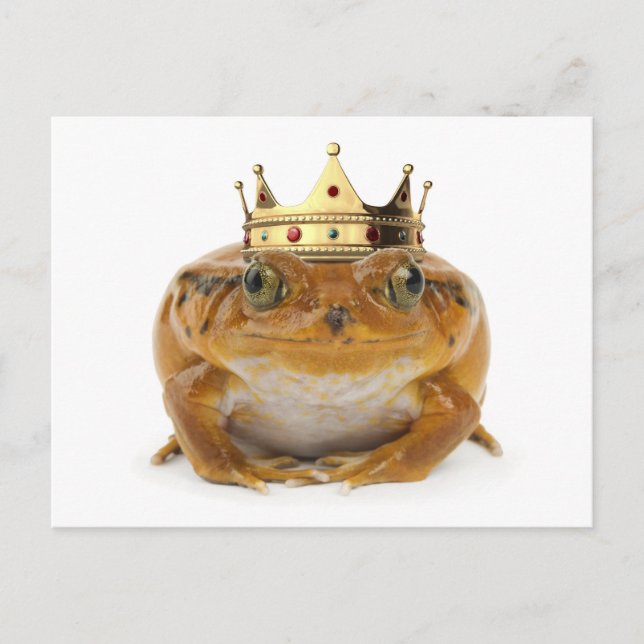 Carte Postale Prince de grenouille - devant (Devant)