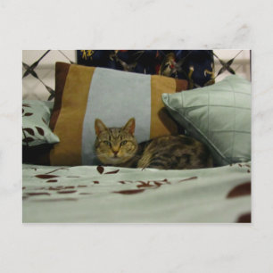 Carte Postale Princess Indigo