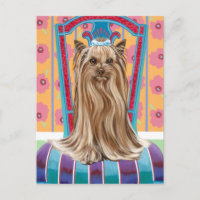 Princesse de la Couronne Yorkie