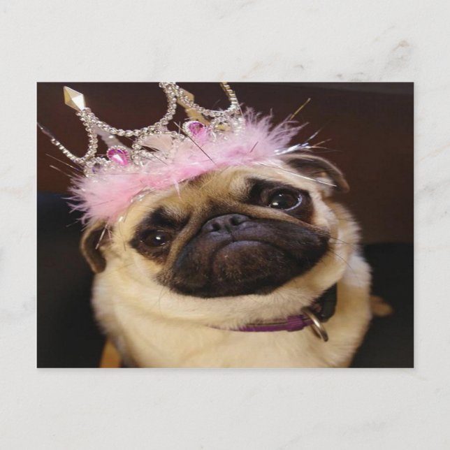 Carte Postale Princesse Pug (Devant)