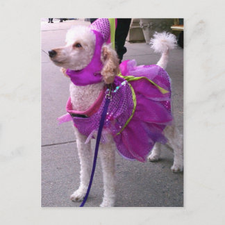 Carte Postale Princesse Puppy