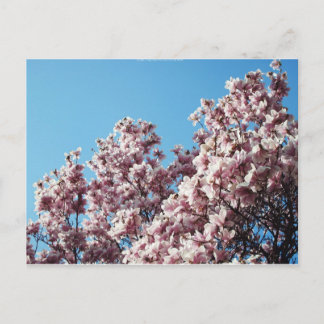Carte Postale printemps
