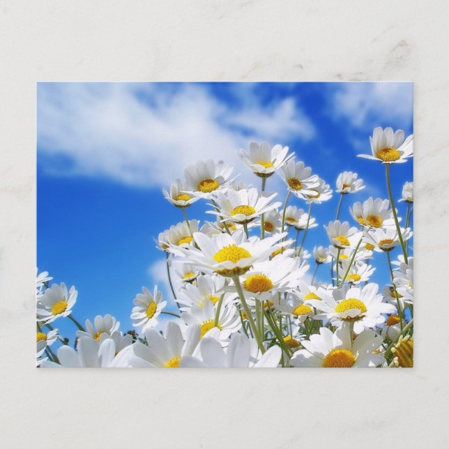 Carte Postale Printemps (Devant)