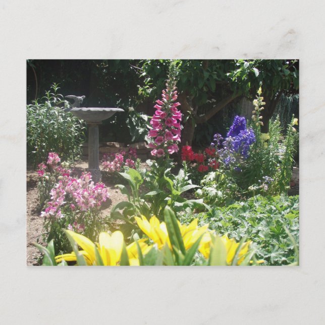 Carte Postale Printemps 2009 006 (Devant)