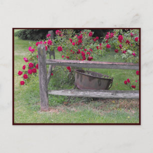 Carte Postale ~ Printemps 42 ~