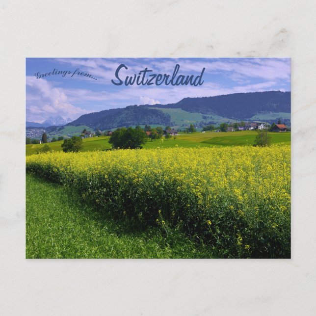 Carte Postale Printemps à Hirzel Suisse (Devant)