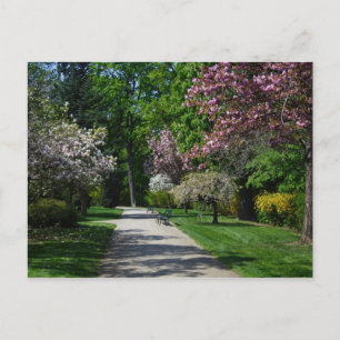 Carte Postale Printemps À Vienne Autriche