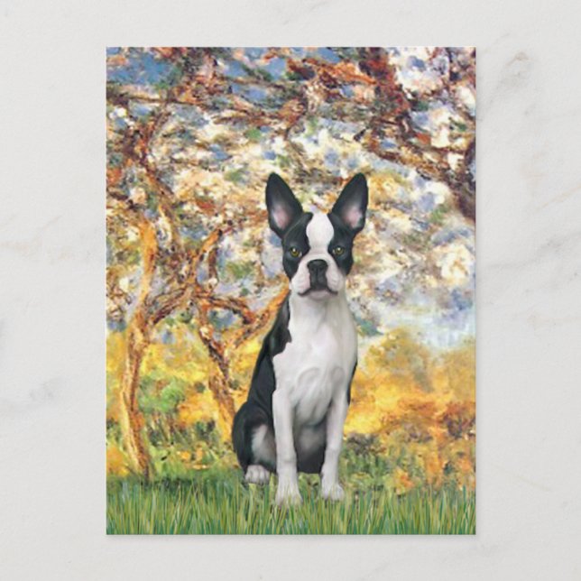 Carte Postale Printemps - Boston Terrier #1 (Devant)