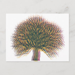 Carte Postale Printemps été automne hiver arbre