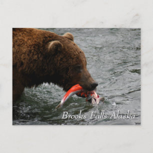 Carte Postale Pris, Brooks Falls Alaska