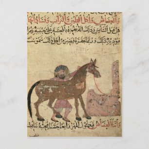 Carte Postale Prise en charge du cheval, illustration