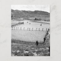 Prisonniers nord-coréens