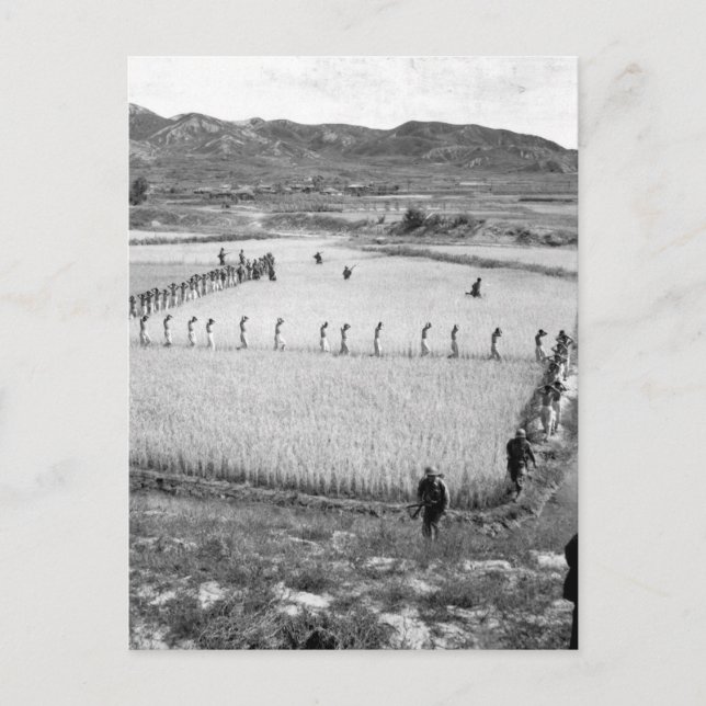 Carte Postale Prisonniers nord-coréens (Devant)