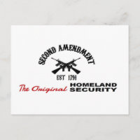 PRO GUN : ORIGINAL HOMELAND SECURITY 2e AMENDEMENT