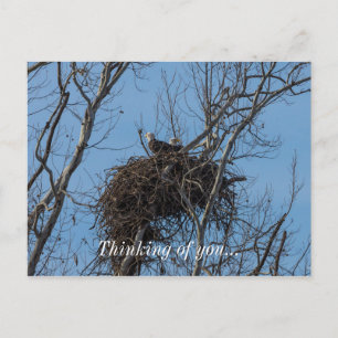 Carte Postale Problème de double aigle