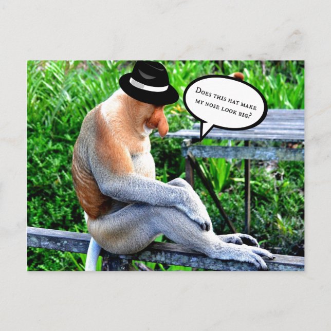 Carte Postale Proboscis Monkey-Est-ce que casquette me fait para (Devant)