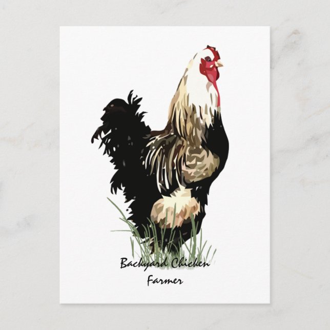 Carte Postale Producteur de poulet jardin avec design de coq (Devant)