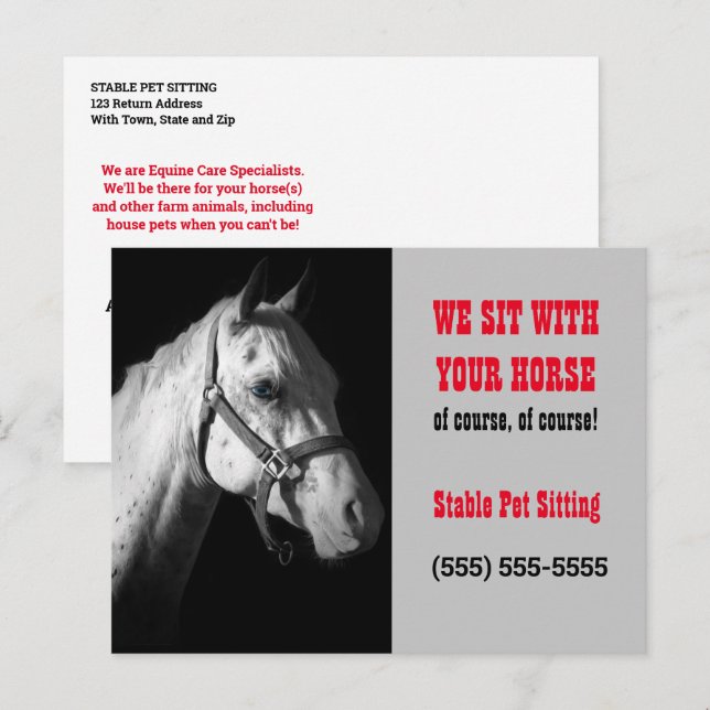 Carte postale professionnelle Cheval Sitter (Devant / Derrière)
