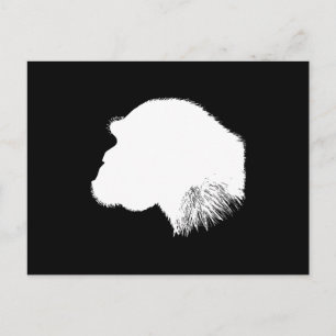 Carte Postale Profil blanc de chimpanzé