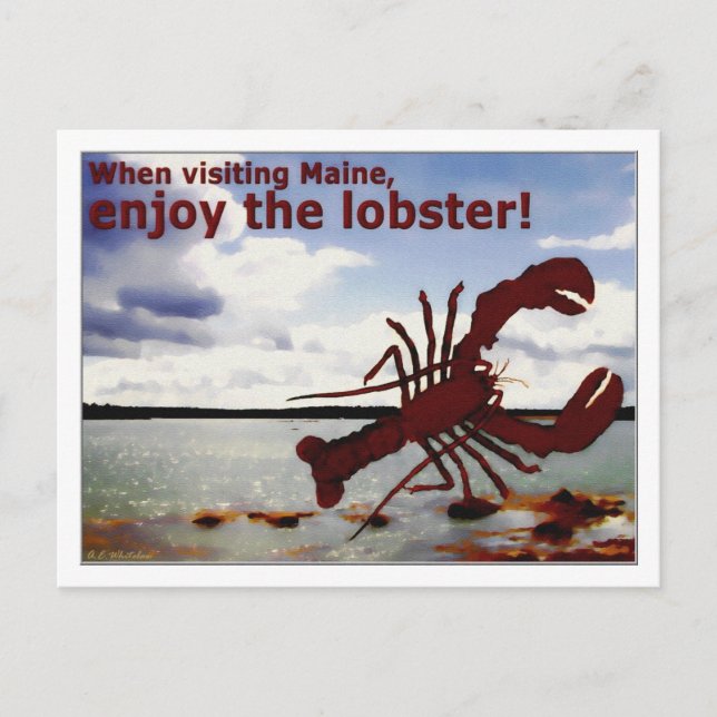 Carte Postale Profitez du homard du Maine ! (Devant)