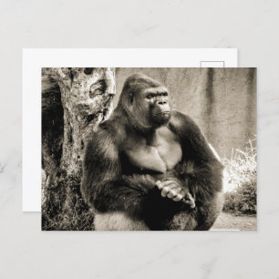 Carte postale PROFONDE EN PENSÉE