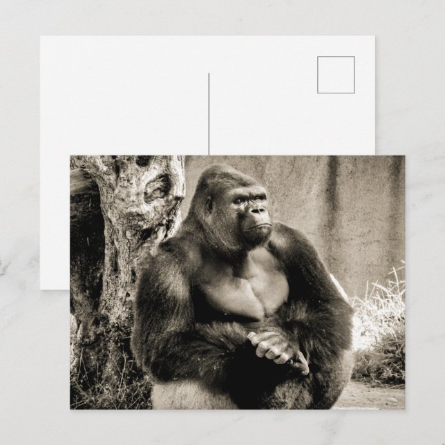 Carte postale PROFONDE EN PENSÉE (Devant / Derrière)