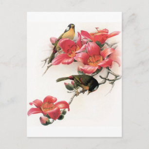 Carte Postale Profusion rose