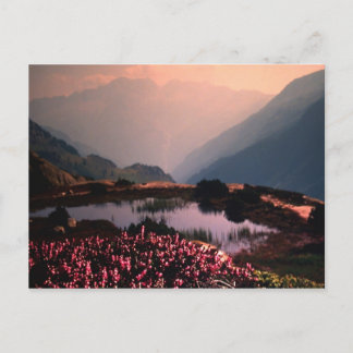 CARTE POSTALE PROGRÈS