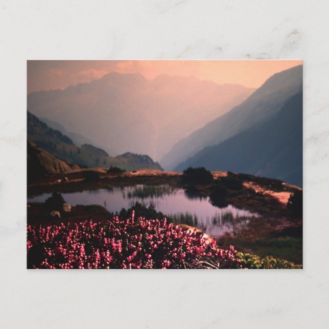 CARTE POSTALE PROGRÈS (Devant)