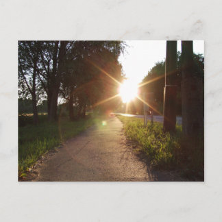 Carte Postale Promenade au coucher du soleil en Hongrie