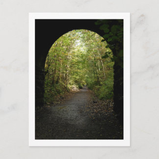 Carte Postale Promenade boisée : Keswick