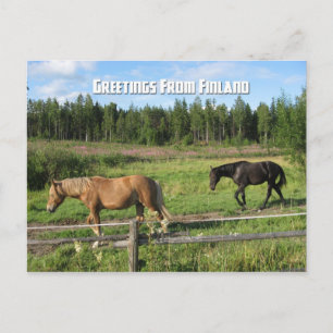 Carte Postale Promenade dans la campagne finlandaise