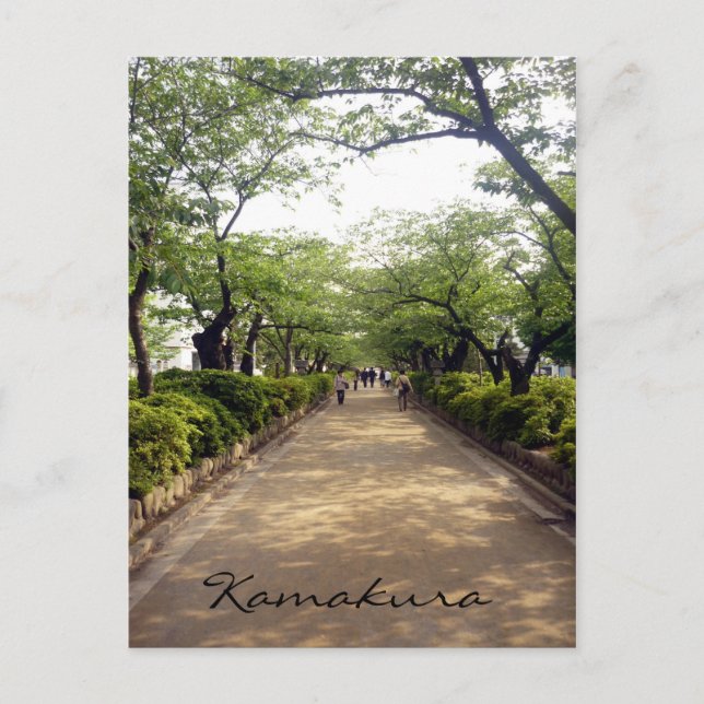 Carte Postale promenade de kamakura (Devant)