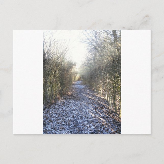 Carte Postale Promenade d'hiver (Devant)