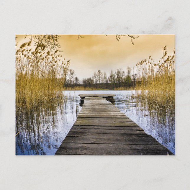 Carte Postale Promenade du quai sur la rivière d'Ukraine (Devant)
