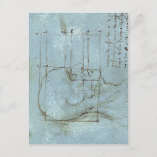 Carte Postale Proportions de la tête 1488 1489 ) est un dessin b