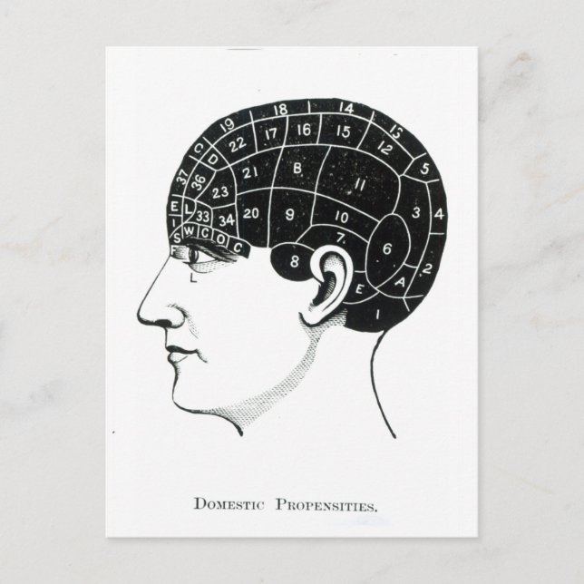 Carte Postale Proportions domestiques (Devant)