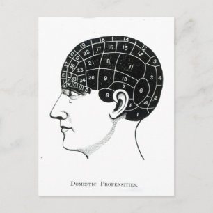 Carte Postale Proportions domestiques