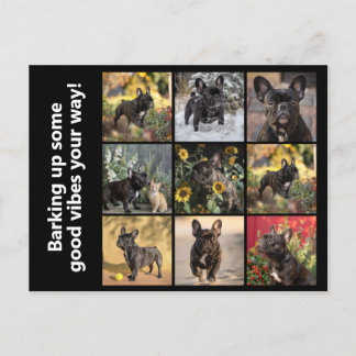 Carte Postale Propre 9 x images + texte