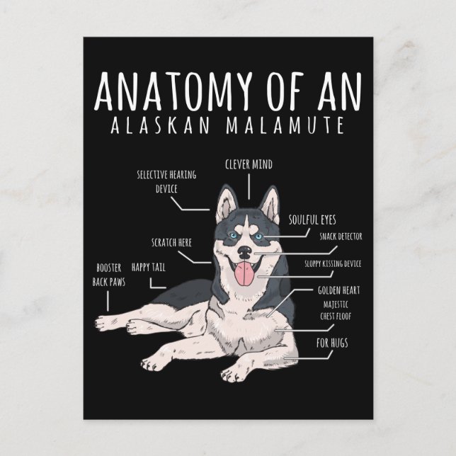 Carte Postale Propriétaire de chien drôle de Malamute d'Alaska (Devant)