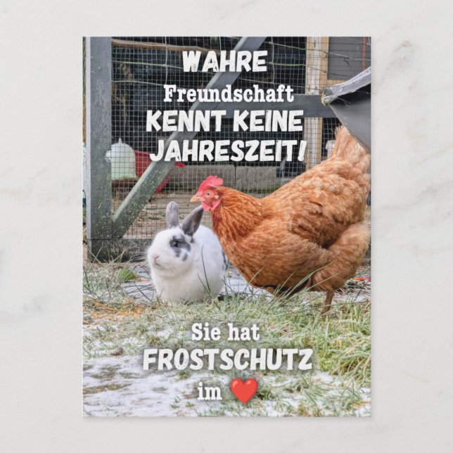 Carte postale "Protection contre le gel dans le co (Devant)