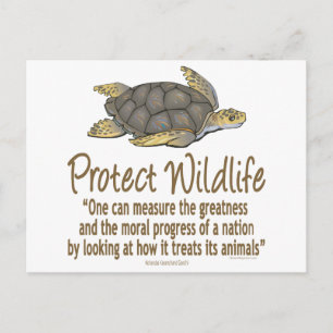 Carte Postale Protéger les tortues de mer