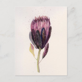 Carte Postale Prothé aquarelle