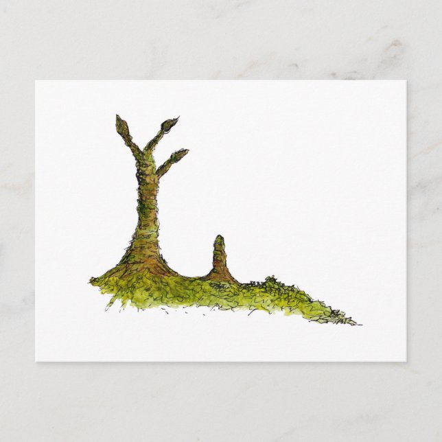 Carte Postale Prototaxites Lichens (Devant)