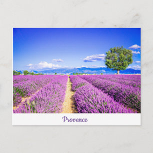 Carte Postale Provence