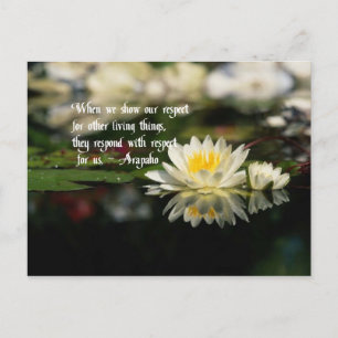 Carte Postale proverbe indien américain, respect