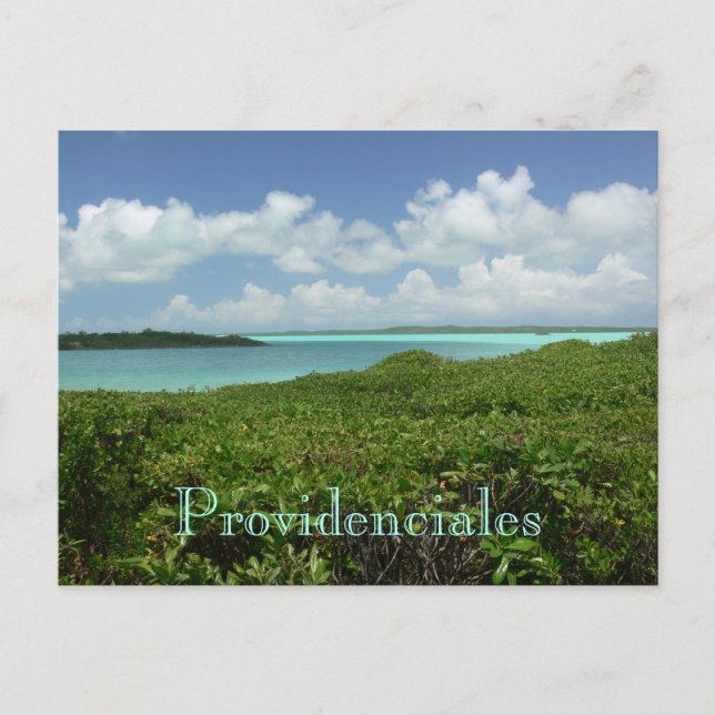 carte postale, "PROVIDENCIALES/TURQUES & ÎLES CAÏC (Devant)