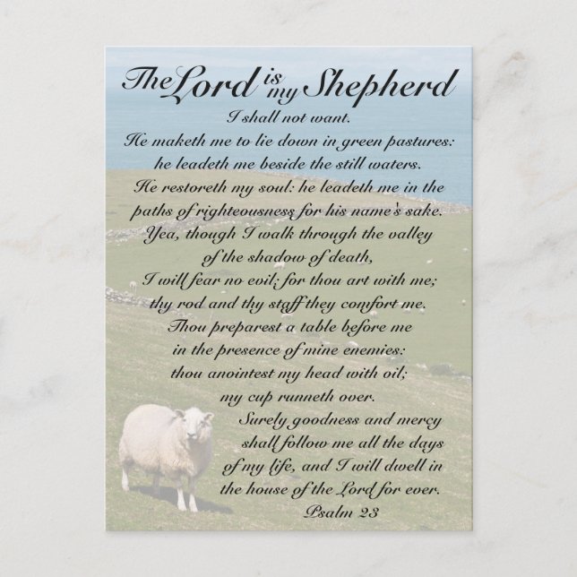 Carte Postale Psaume 23 Le Seigneur est mon berger, Irish Field (Devant)