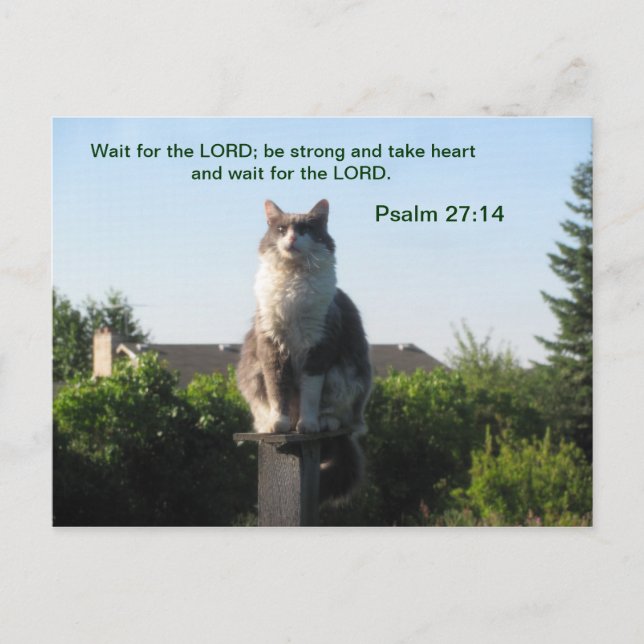 Carte Postale Psaume 27:14 et chat croisé (Devant)