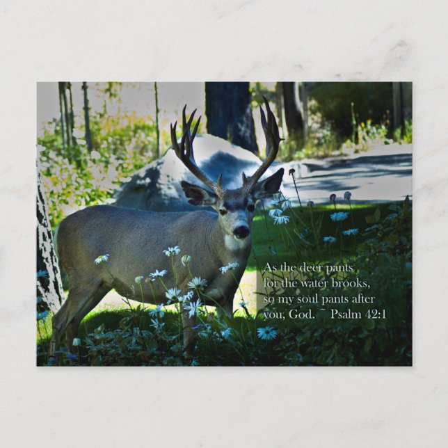 Carte Postale Psaume 42:1 et Cerf (Devant)
